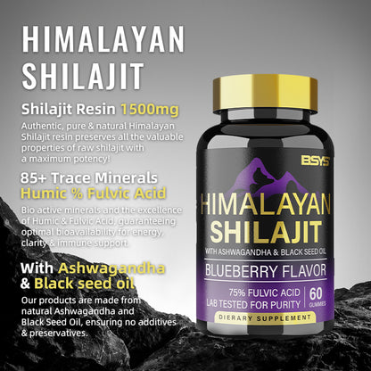 Himalayan Shilajit Gummies